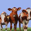 Three curious cows. by SydWyn Art