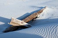 Treibholz am Strand von Terschelling - 2