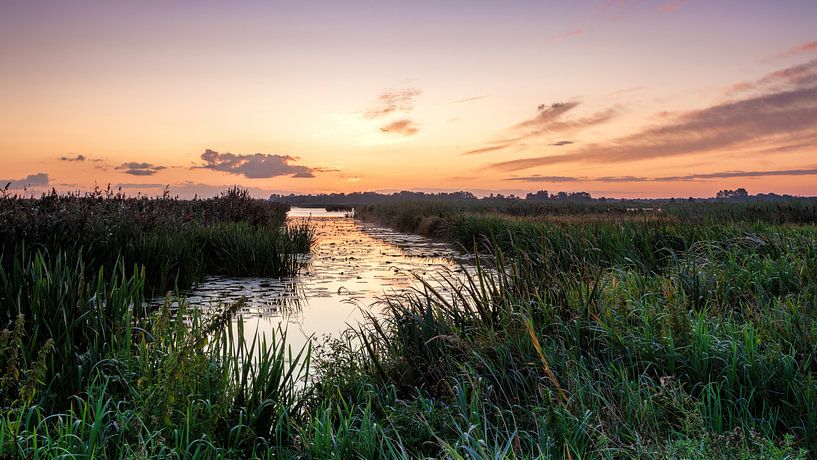 Farbspektakel für den Sonnenaufgang in De Onlanden von R Smallenbroek