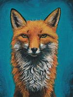 Fox in the Night