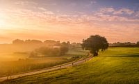 A morning in the south!
