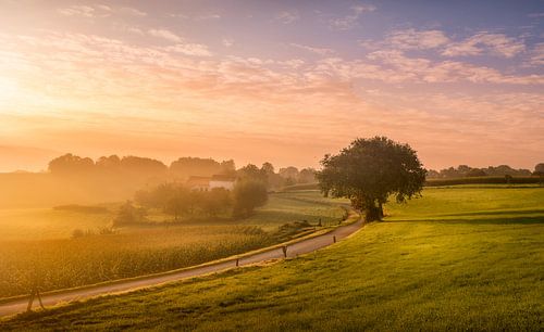A morning in the south! by Stan Bessems