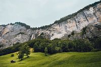 Hütte am Wasserfall, Lauterbrunnen, Schweiz | Stimmungsvolle Reisefotografie mit Hütte in den Schwei