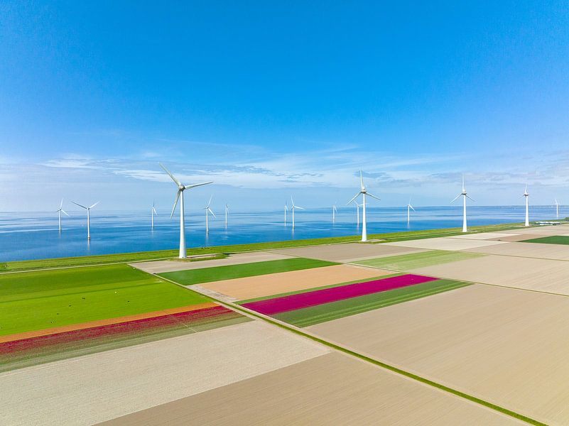 Tulpen auf landwirtschaftlichen Feldern mit Windrädern im Hintergrund von Sjoerd van der Wal Fotografie