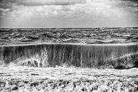 Silver Clouds12