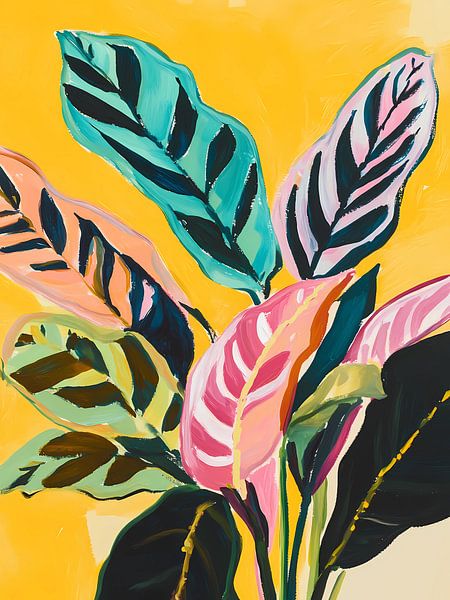 Calathea plant by haroulita