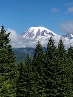 Mount Rainier National Park
