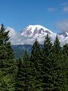 Mount Rainier National Park von MirjamCornelissen - Fotografie Miniaturansicht