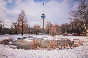 Winter Rotterdam