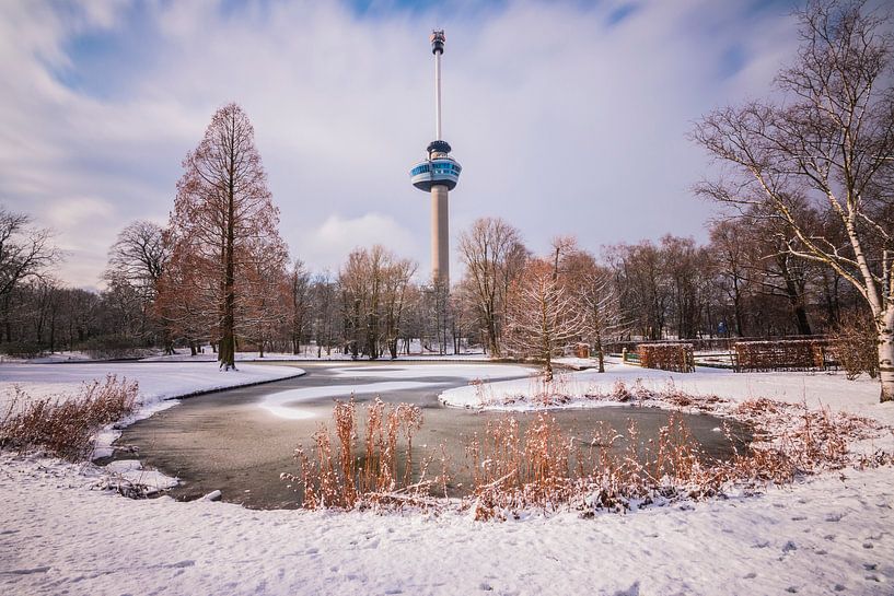 Winter Rotterdam van Dennis Vervoorn