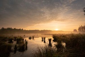 Das Moor bei Blankeveen (Elp, Drenthe) bei Sonnenaufgang
