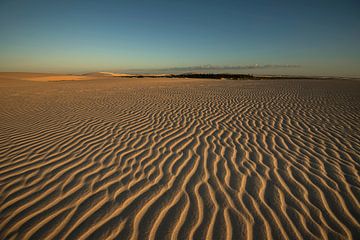 Desert by Leon Doorn