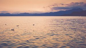 Lac de Garde au coucher du soleil