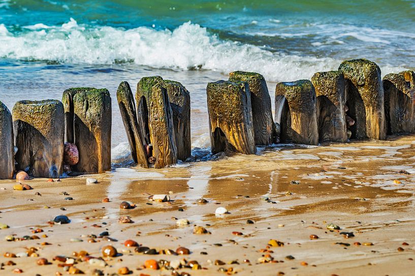 Buhnen am Strand der Ostsee van Gunter Kirsch