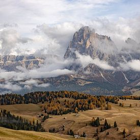 Dolomiti - Alpe di Siusi van Nika Heijmans