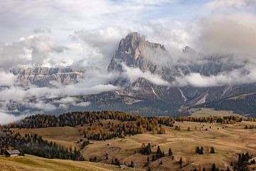 Dolomiti - Alpe di Siusi by Nika Heijmans