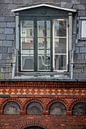 reflectie in raam in Kopenhagen van Eric van Nieuwland thumbnail