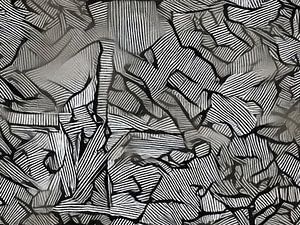0131 - Refracted Zebra