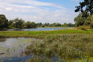 Die Alte Elbe bei Magdeburg