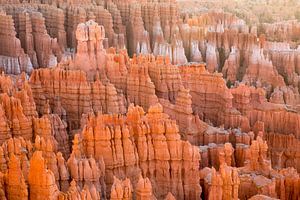 Bryce Canyon Nationaal Park, Utah, VS van Rob van Esch