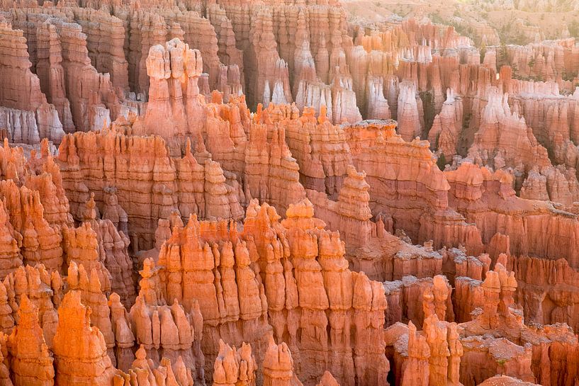 Bryce Canyon Nationaal Park, Utah, VS van Rob van Esch