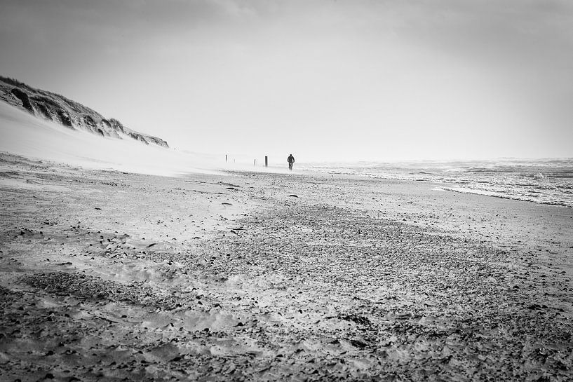 strandfietsen op strand bij een storm van eric van der eijk