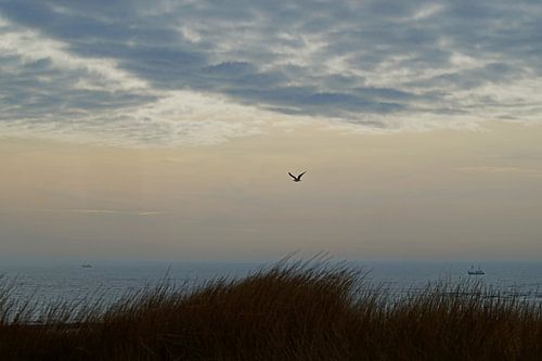 Lovely view on top of the dunes, Texel