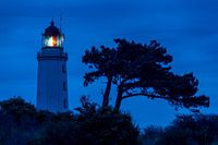 De vuurtoren bij de Dornbusch op het blauwe uur.