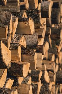 Wooden structures von Nynke Nicolai