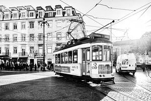 Gegenlicht in Lissabon