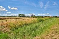 Summer landscape on Wieringen, Oosterland wieringen by eric van der eijk thumbnail