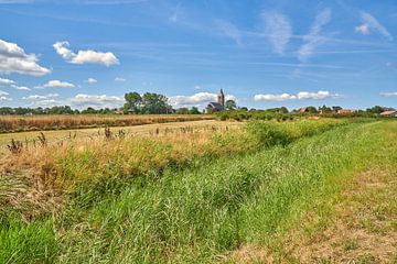 Summer landscape on Wieringen, Oosterland wieringen