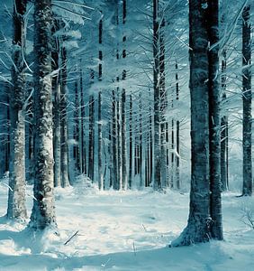 Winterlicher Märchenwald