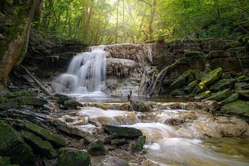 Waterval, Zuid-Eifel, Rijnland-Palts, Duitsland van Alexander Ludwig