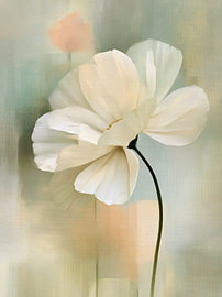 Gentle Bloom Dream by Imagine
