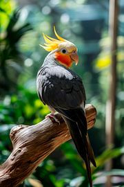 Cockatoos on a tree trunk in the jungle by Poster Art Shop