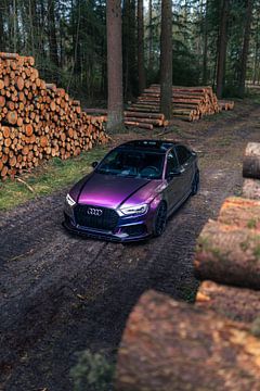 Audi RS3 in het Bos – Moderne Auto in Natuurlijke Omgeving van Sebastiaan van 't Hoog