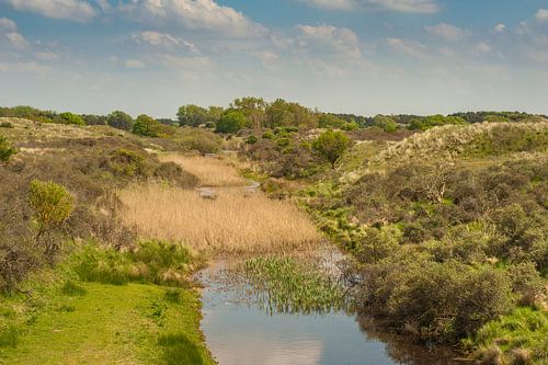 Amsterdamse Waterleidingduinen