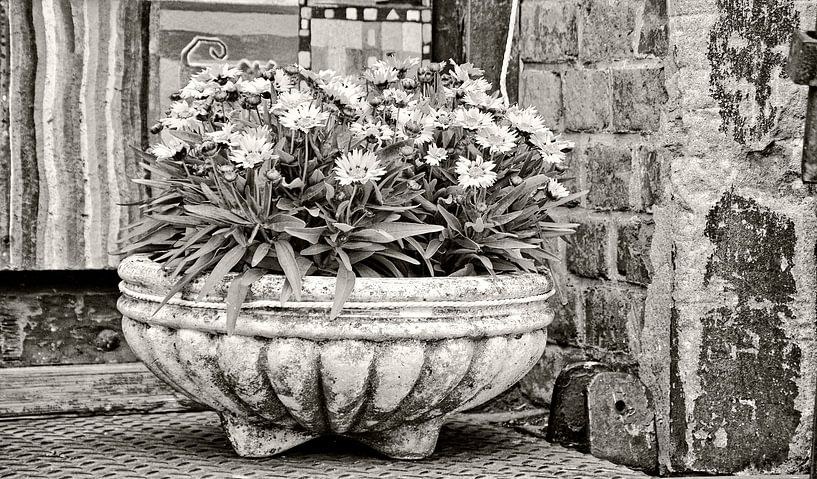 Pot de fleurs par Kirsten Warner