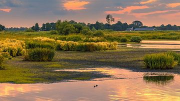 Moulin à vent Sunrise Oudega sur Henk Meijer Photography