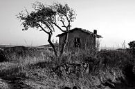 Rural idyll on the island of Sardinia by Silva Wischeropp thumbnail