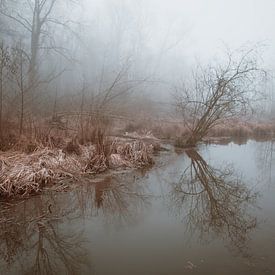 Waterlandschap in de mist van Marlies van Zetten