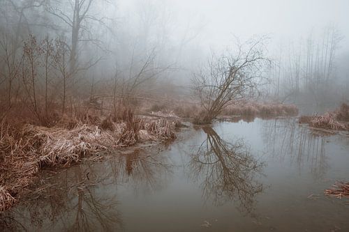 Water landscape in the fog