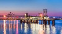 Illuminated pier at a colorful sunset, Port of Antwerp by Tony Vingerhoets thumbnail