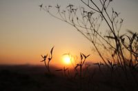Sunset in the background