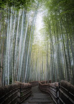 Bamboo Forest Japan II van fromkevin