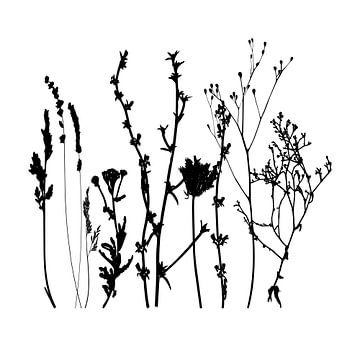 Botanische illustratie met planten, wilde bloemen en grassen 1.  Zwart wit. van Dina Dankers