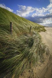 Strand, zee en zon van Dirk van Egmond