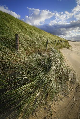 Strand, zee en zon
