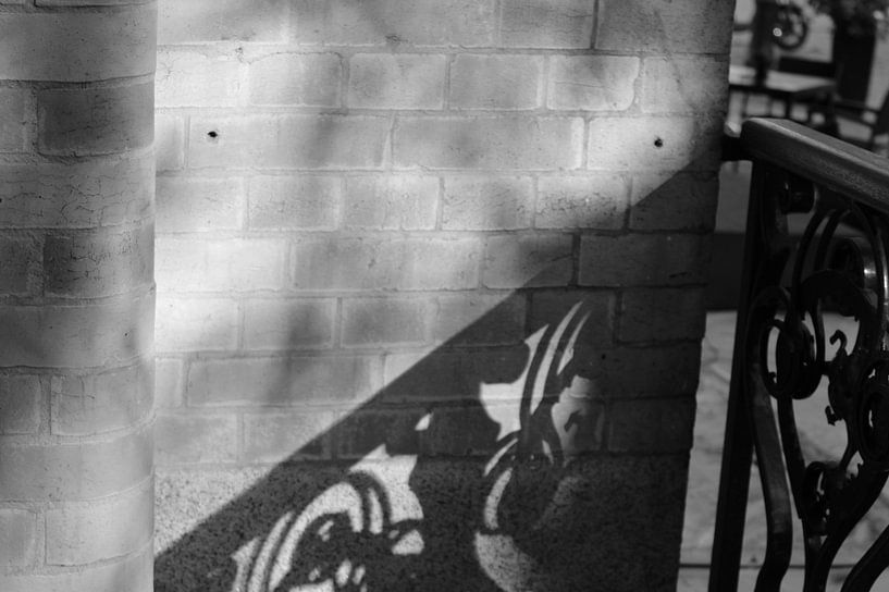 Schattenzaun schwarz-weiß von Vannessa !